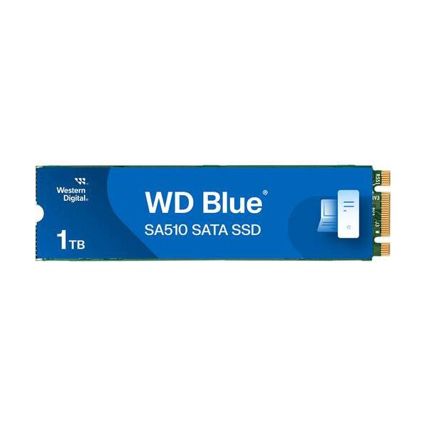 WDS100T3B0B