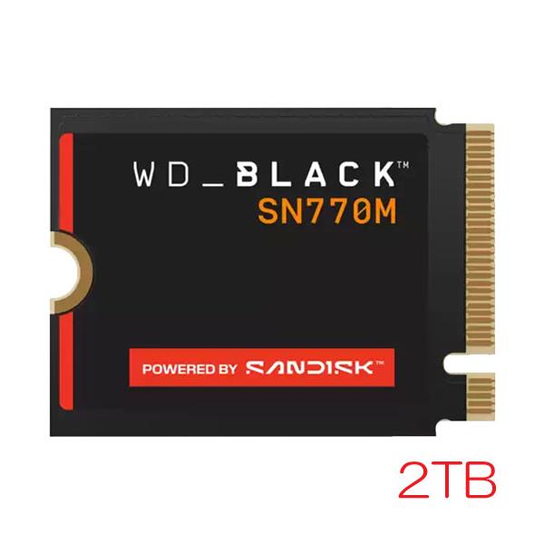 WDS200T3X0G